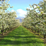 Testimony of Glenn & Karen